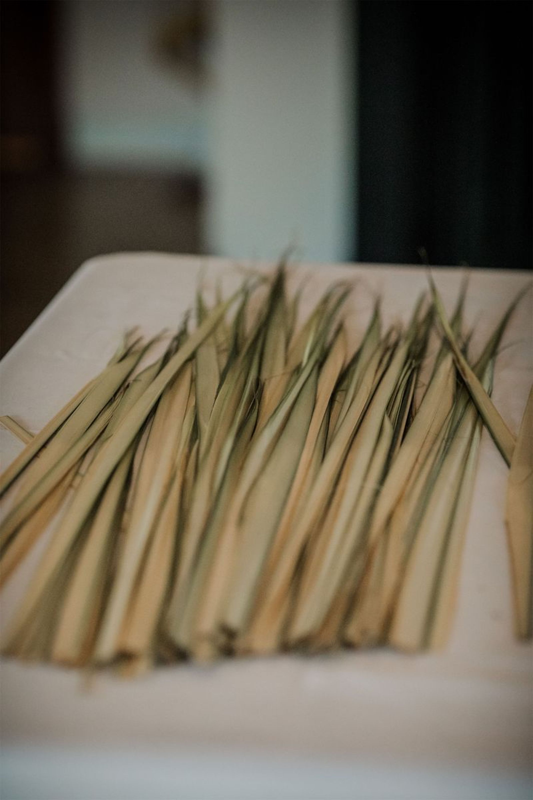 2024-03-24-palm-sunday-0029.jpg